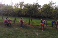 IMG_20190905_183817